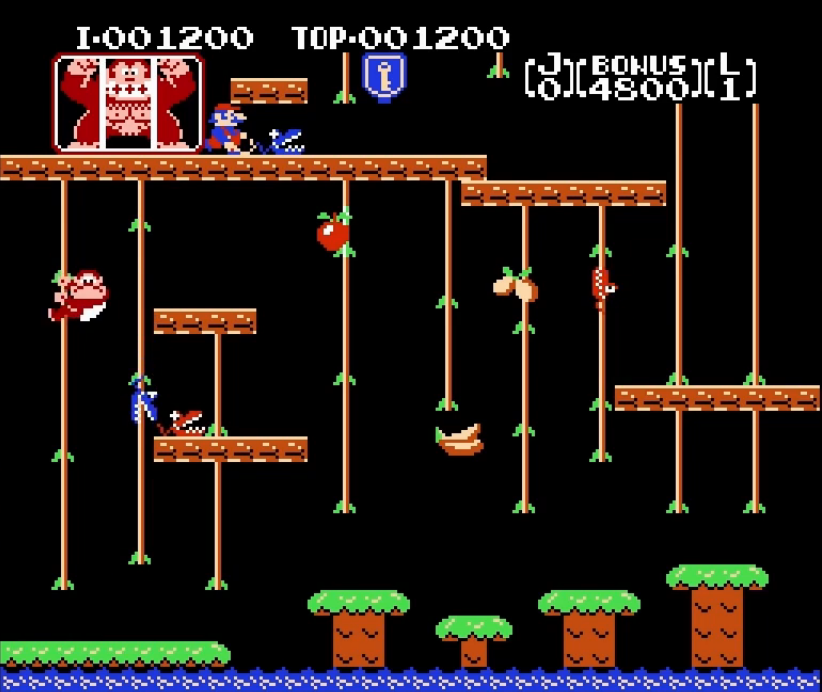 Shigeru Miyamoto Donkey Kong Jr.