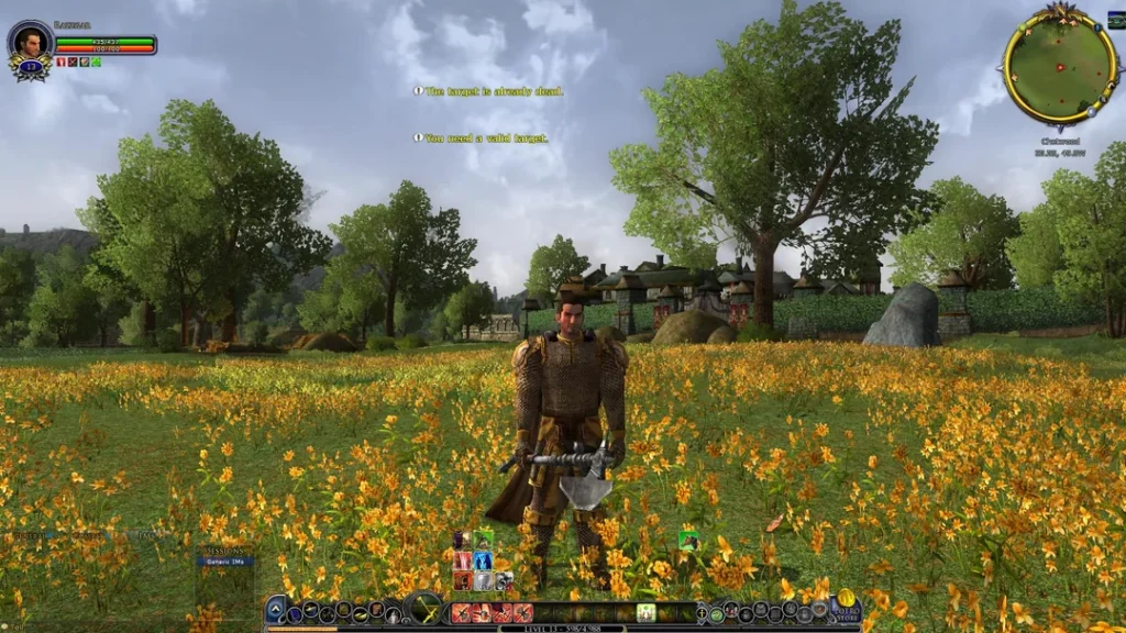 Game MMORPG The Lord of the Rings Online
